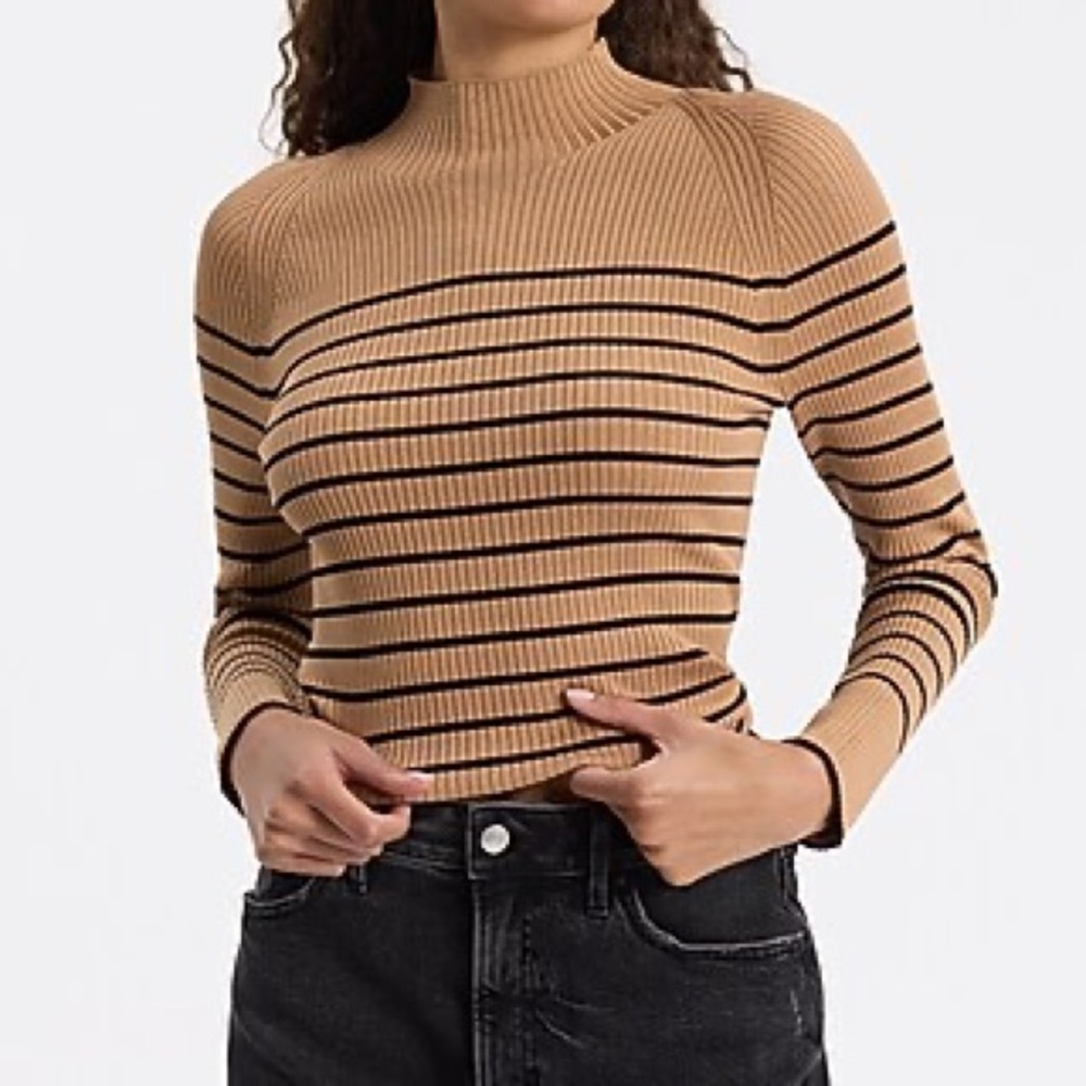 Express Tan and Black Striped Turtleneck Sweater